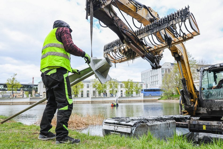 Łódź. Wielki powrót fontanny do Parku Reymonta w Łodzi! Dlaczego wcześniej zniknęła?