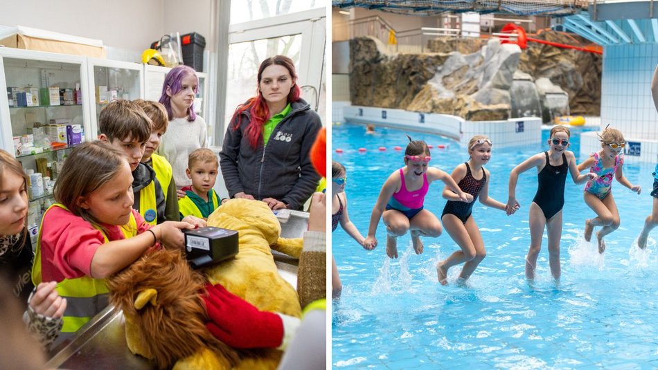 Łódź. Ferie 2025. Promocja w Orientarium Zoo Łódź i Aquaparku Fala