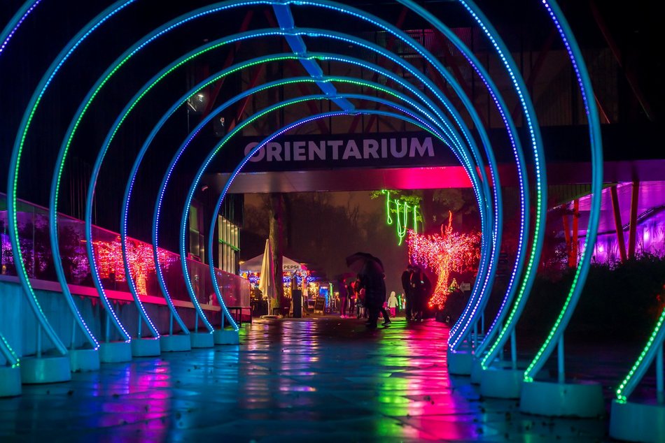 Park Miliona Świateł w Orientarium Zoo Łódź