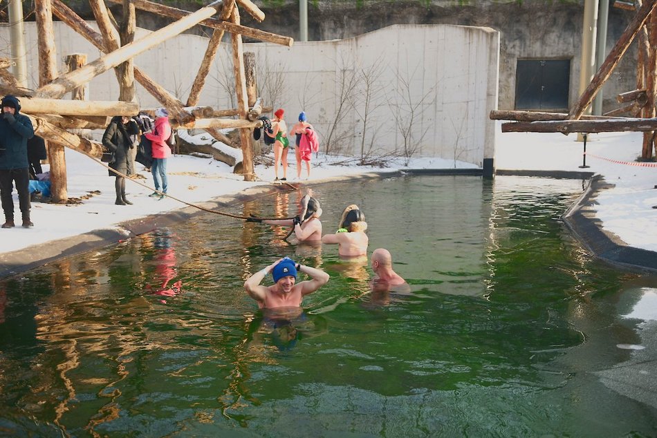 Łódź. Miłośnicy zimnych kąpieli w Orientarium Zoo Łódź
