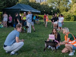 Łódź. Psia Polówka na Widzewskiej Górce. Psiaki przejęły dowodzenie!