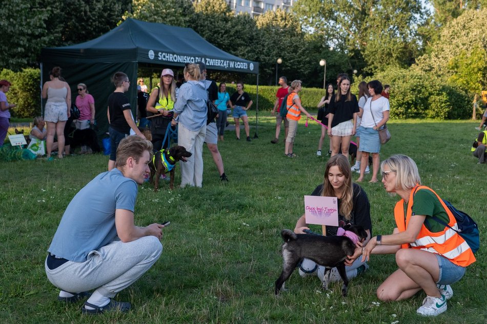 Łódź. Psia Polówka na Widzewskiej Górce. Psiaki przejęły dowodzenie!