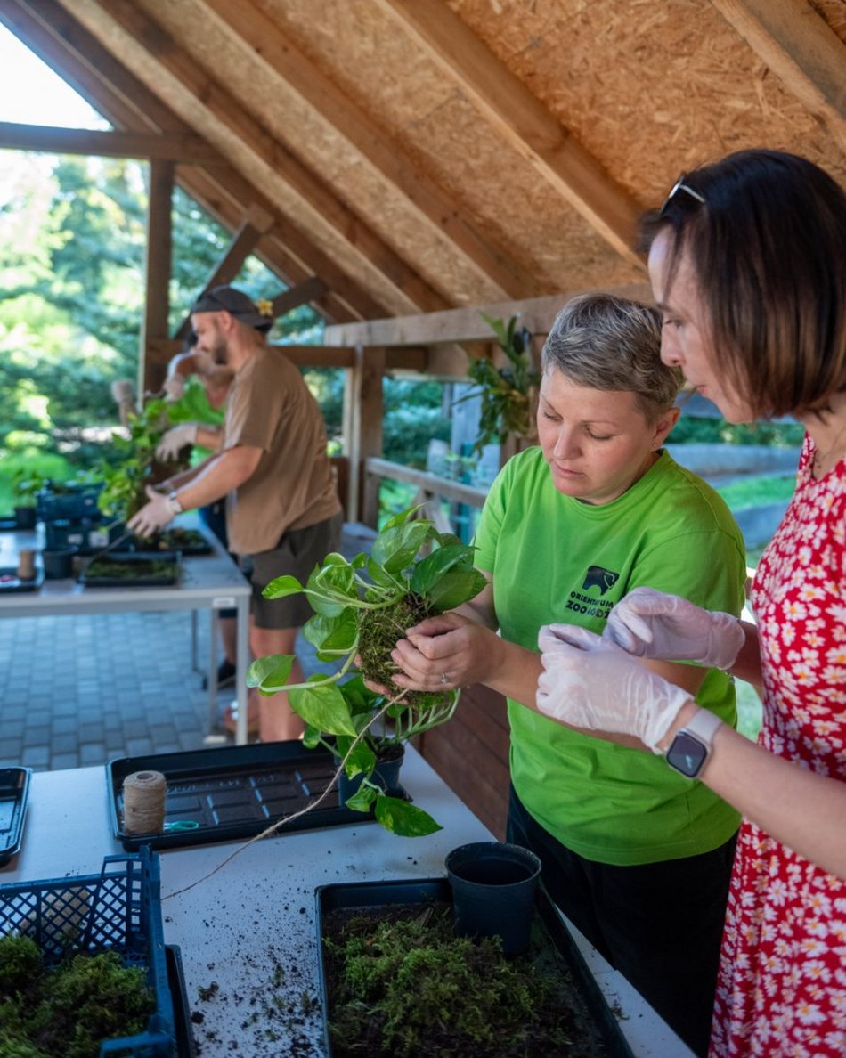 Łódź. Zielona Feta w Orientarium Zoo Łódź. Moc atrakcji na długi weekend