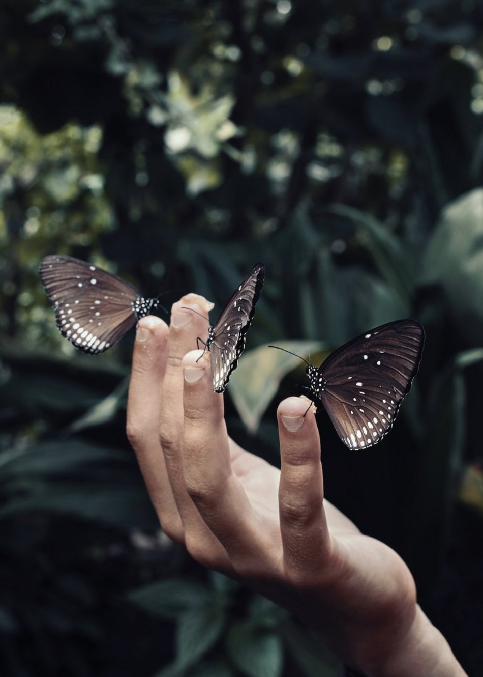 Fotofestiwal 2023 w Łodzi rozpocznie się 15 czerwca