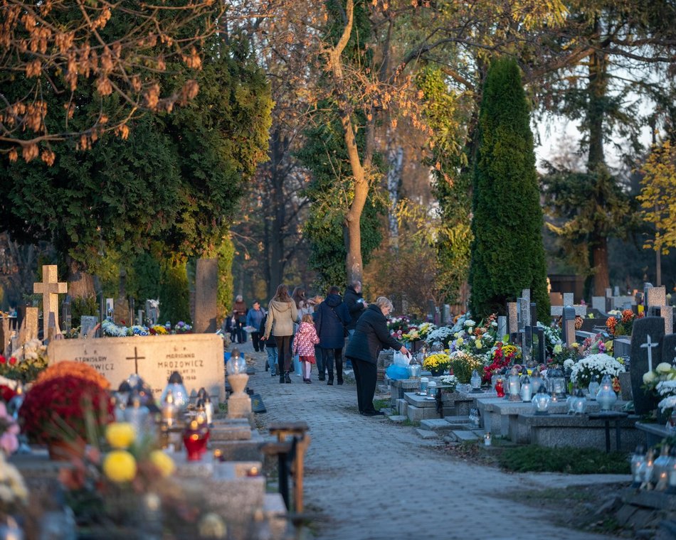 Wszystkich Świętych 2024. Jak zadbać o ekologię na cmentarzu?