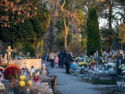 Wszystkich Świętych 2024. Jak zadbać o ekologię na cmentarzu?