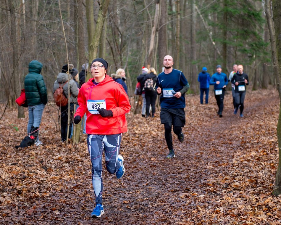 biegacze w lesie