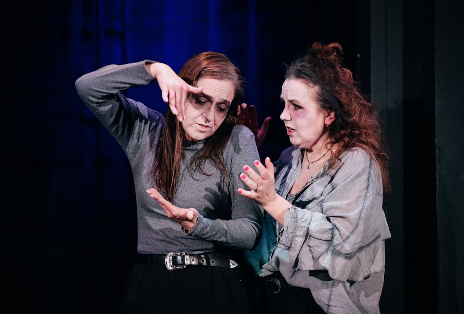 Łódź. Co robić w długi weekend w Łodzi? Kino pod chmurką, Rave for Dogs, Targ Staroci, wegański festiwal kulinarny