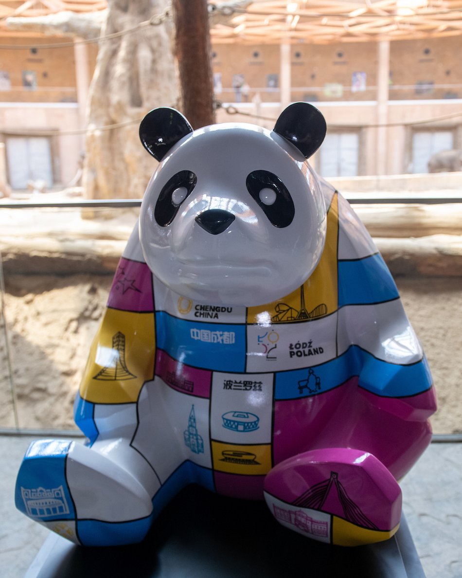 Łódź. Wyjątkowa panda zawitała do Łodzi. Niezwykły prezent z okazji 10. rocznicy partnerstwa z Chengdu