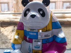 Łódź. Wyjątkowa panda zawitała do Łodzi. Niezwykły prezent z okazji 10. rocznicy partnerstwa z Chengdu