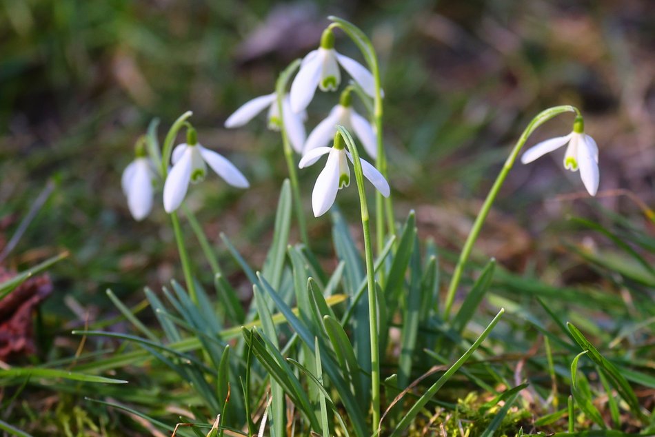 Łódź. Łódź budzi się do życia! Łodzianie i turyści tłumnie korzystają z pierwszych dni wiosny