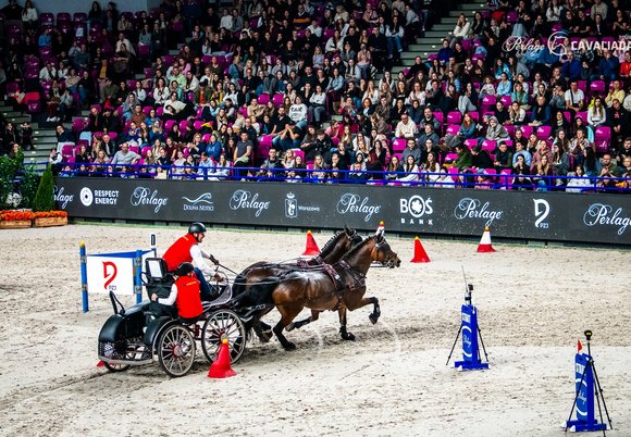 Łódź. Cavaliada Tour po raz pierwszy w Łodzi!