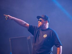 Co robić w weekend w Łodzi? 120 Rap Fest, OFF-Północna, wystawa kotów rasowych i wiele innych [PRZEWODNIK]