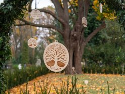 Łódź. Ekologiczne cmentarze w Łodzi. Z szacunkiem dla natury i pamięci