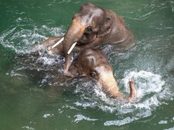 Orientarium Zoo Łódź