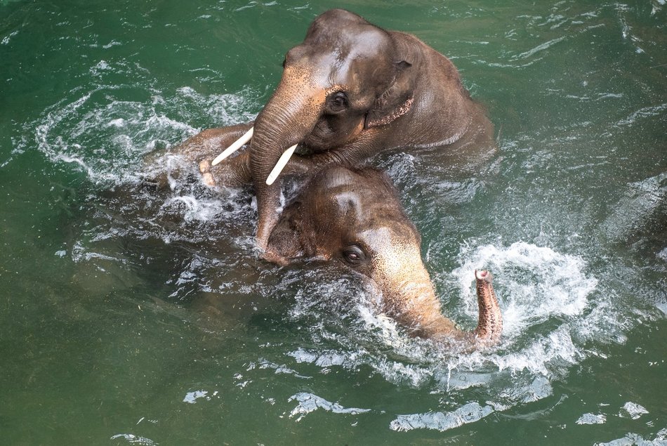 Orientarium Zoo Łódź