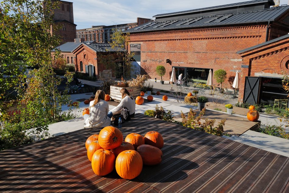 Farma Dyniowa w Fuzji. Poczuj klimat jesieni w centrum Łodzi!