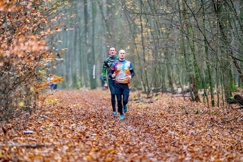 Cookie Run w Lesie Łagiewnickim w Łodzi