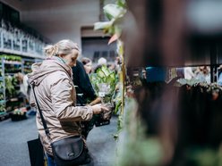 Łódź. Festiwal Roślin w Sport Arenie w Łodzi. Wyjątkowe okazy i tłumy łodzian!