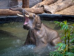 Nowatorskie projekty w skali Europy? Tylko w Orientarium Zoo Łódź!