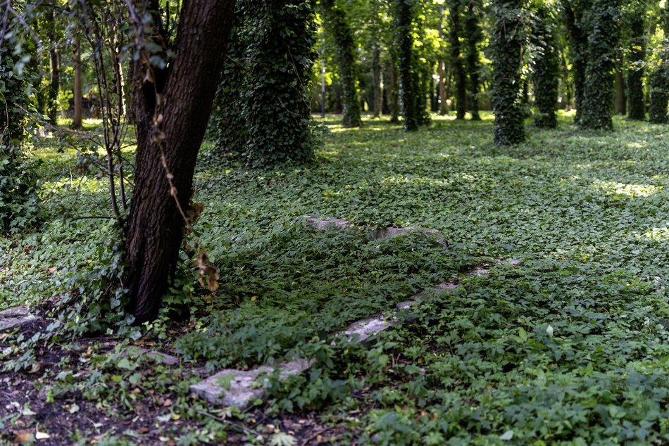 Park Rejtana w Łodzi