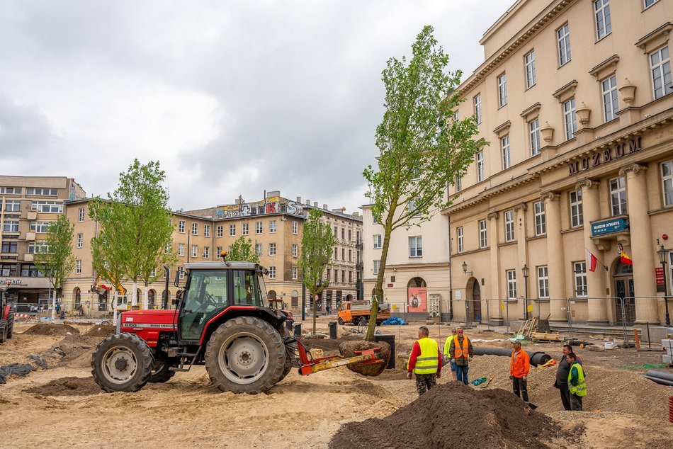 Plac Wolności - sadzenie drzew, plac budowy