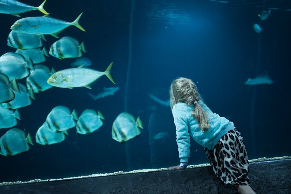 Urodzinowe nocowanie w Orientarium Zoo Łódź. Przeżyli przygodę, której zapamiętają na długo!
