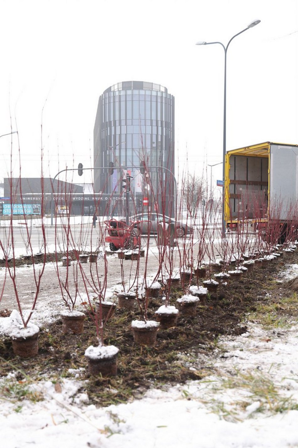 Łódź. Jeszcze więcej zieleni w mieście z ŁBO