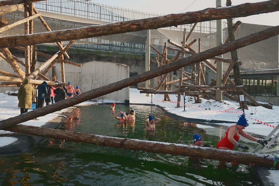 Łódź. Miłośnicy zimnych kąpieli w Orientarium Zoo Łódź