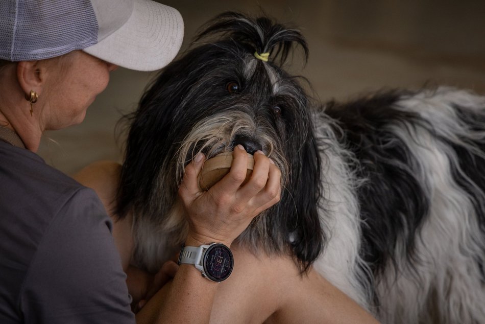 Łódź. Gastro dla schroniska w Łodzi. Tak się łączy miłość do jedzenia, muzyki i zwierząt!