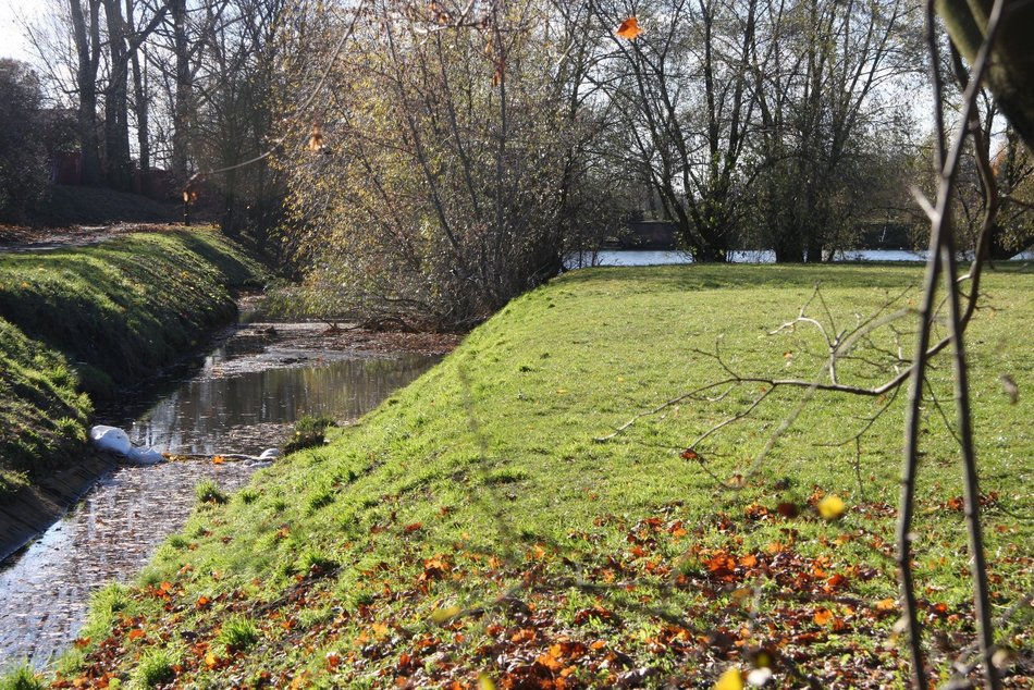 Łódź. Zielona Łódź zaprasza na kolejny spacer. Poznaj tajemnice doliny rzeki Jasień
