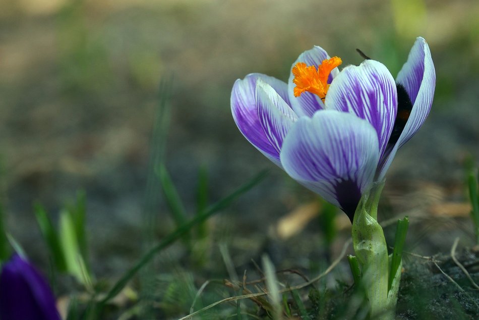 Łódź. Łódź budzi się do życia! Łodzianie i turyści tłumnie korzystają z pierwszych dni wiosny