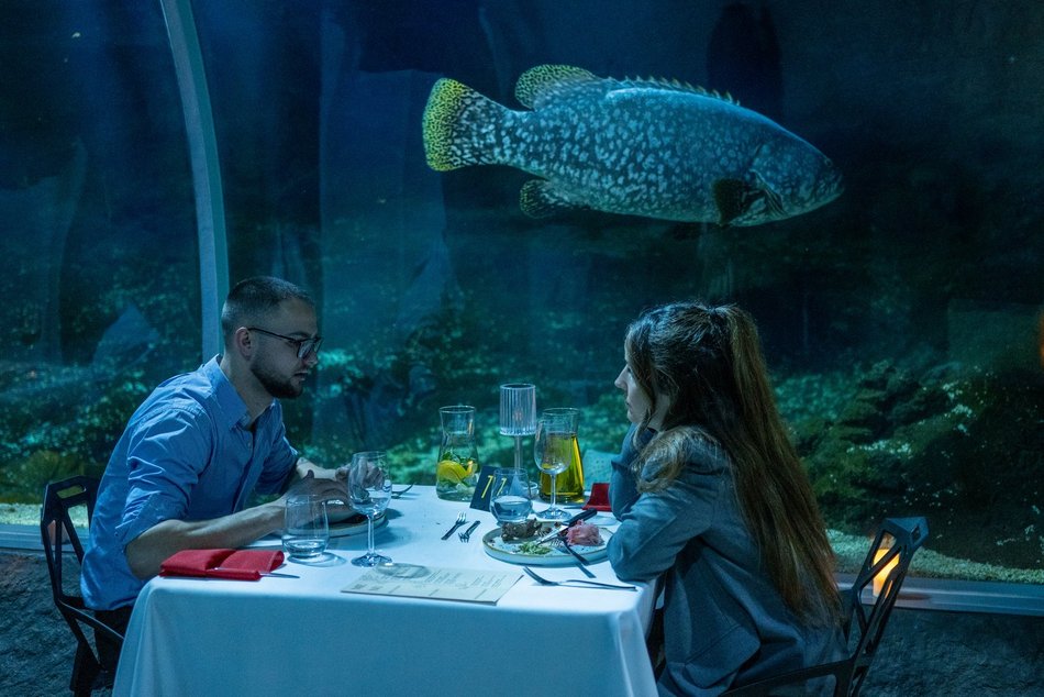 Łódź. Walentynki w Orientarium Zoo Łódź. Przysmaki, koncert na harfie i... zaręczyny