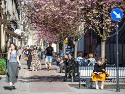 Łódź. Woonerf na ul. Traugutta w Łodzi