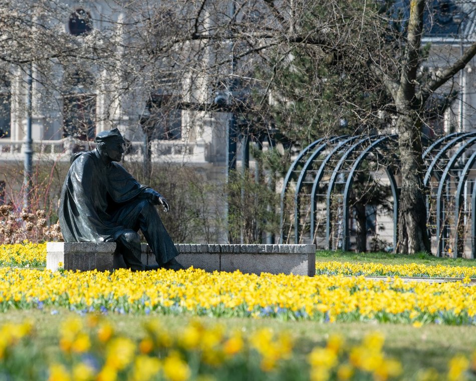 Łódź. Łódź weszła w lato na zielono! Tysiące nowych drzew, kwiaty i trawniki