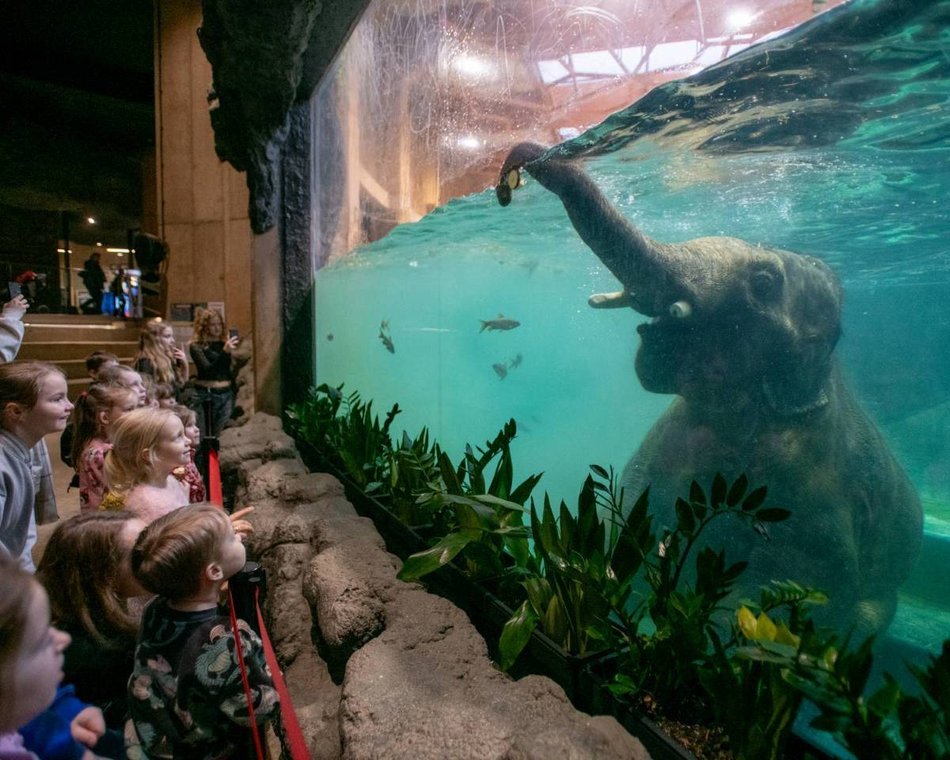 Łódź. Długi weekend w Łodzi pełen wydarzeń! Noc Świętojańska, Fotofestiwal, filmowe spacery