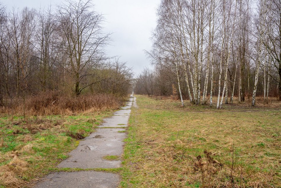 Park Leśny Lublinek