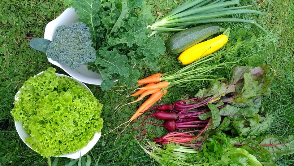 Łódź. Wiosenne prace ogrodnicze w Ogrodzie Botanicznym