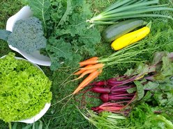 Łódź. Wiosenne prace ogrodnicze w Ogrodzie Botanicznym