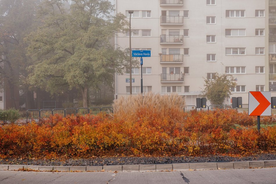 Rondo Vaclava Havla najpiękniejsze w Łodzi? Zobacz Teofilów w jesiennym wydaniu