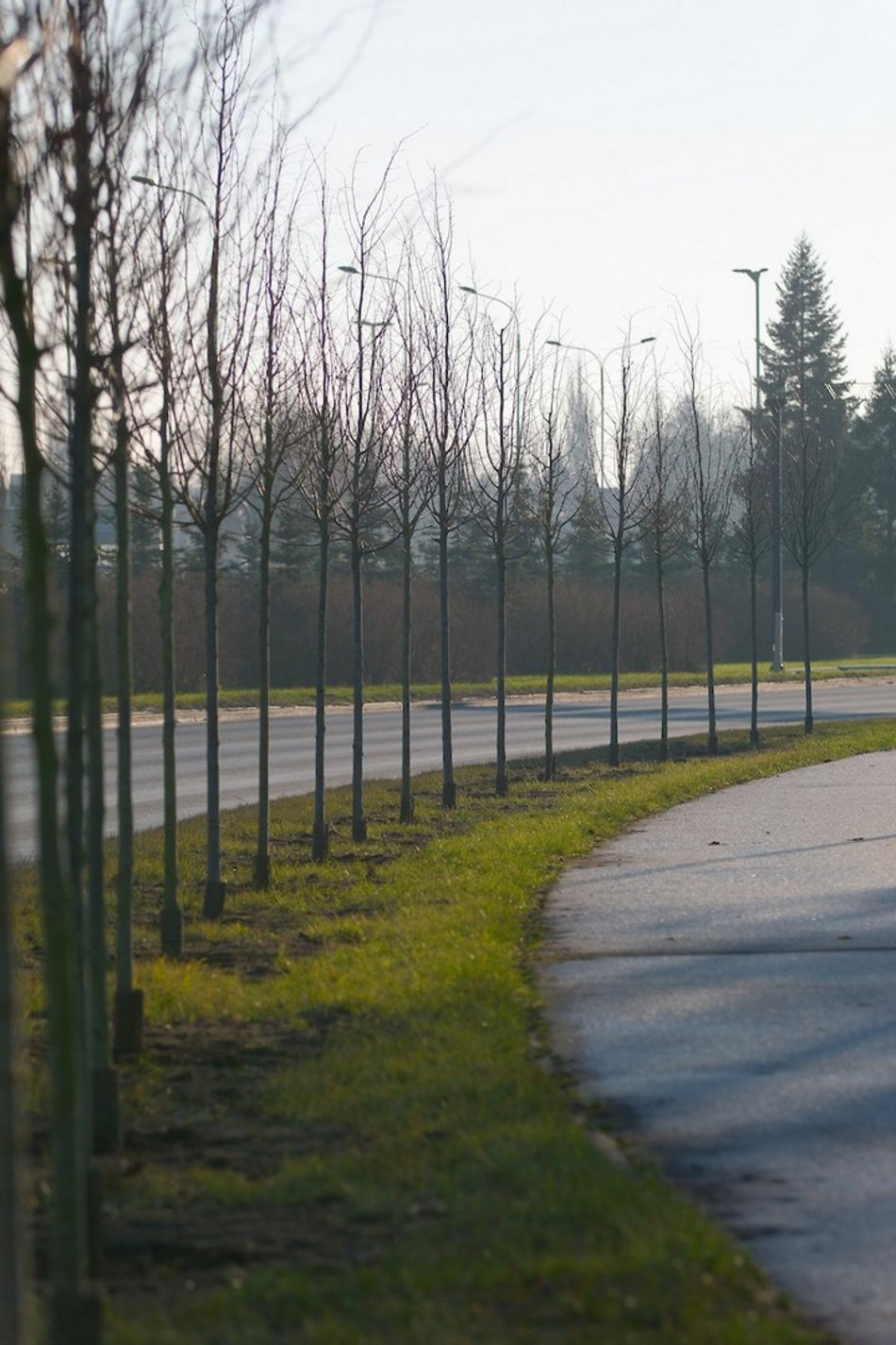 Łódź. Zielona metamorfoza Włókniarzy