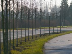 Łódź. Zielona metamorfoza Włókniarzy