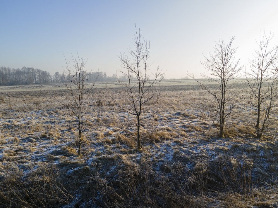 fot. ŁÓDŹ.PL