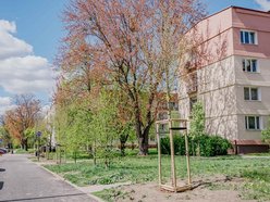 Łódź. Remont Gandhiego w Łodzi. Do nowej jezdni, chodników i parkingów dołączyły drzewa!