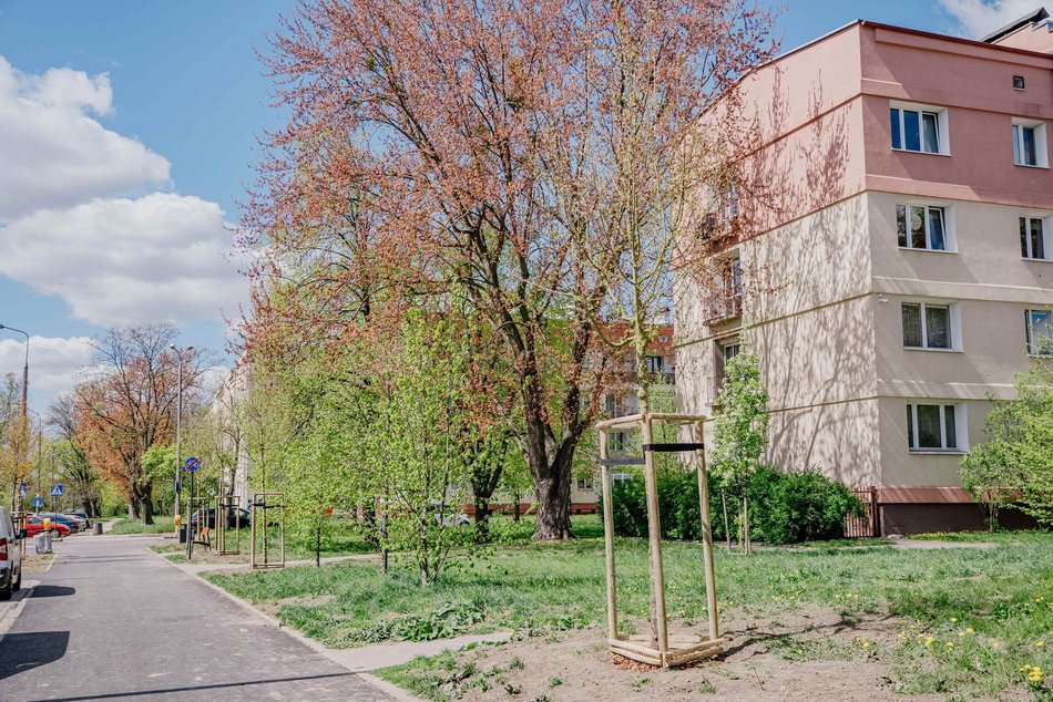 Łódź. Remont Gandhiego w Łodzi. Do nowej jezdni, chodników i parkingów dołączyły drzewa!
