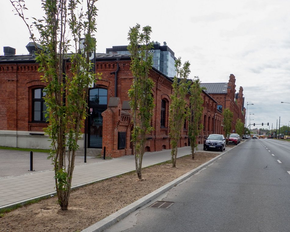 Łódź. Przy Monopolis w Łodzi jest coraz piękniej. Wspaniałe połączenie natury i nowoczesności