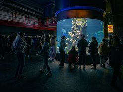 Łódź. Noc Muzeów Łódź 2026. Odkryj podziemia Orientarium Zoo Łódź i inne sekrety