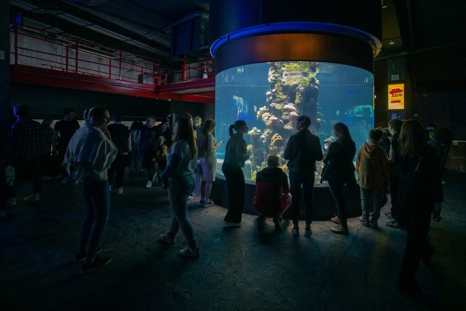 Łódź. Noc Muzeów Łódź 2026. Odkryj podziemia Orientarium Zoo Łódź i inne sekrety