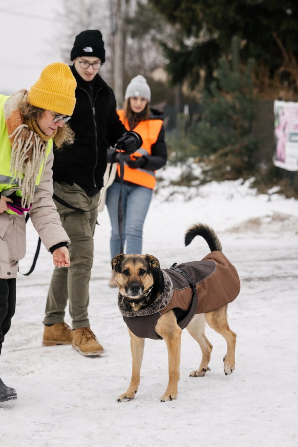 Łódź. Psy ze schroniska w Łodzi znów na spacerze! Dla tych wesołych pyszczków aż chce się chodzić!