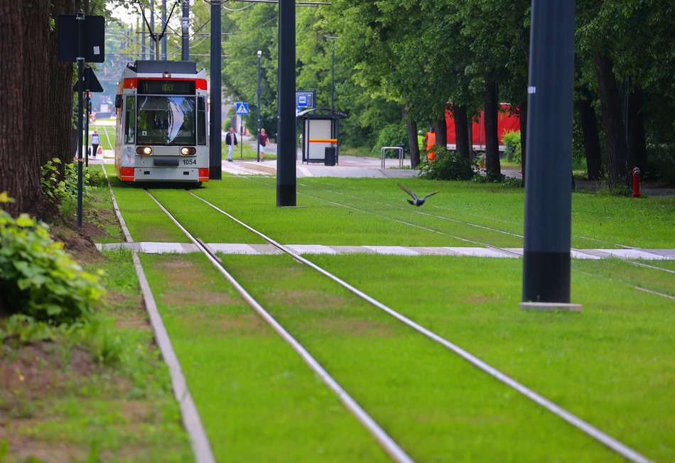 Wojska Polskiego po remoncie - zielone torowisko